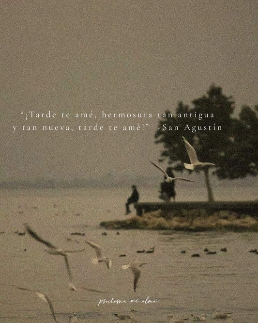 Tarde te amé