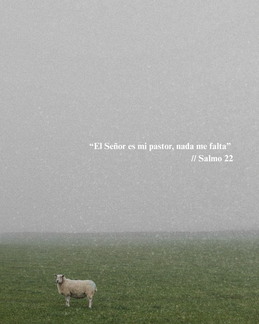 Un Buen Pastor
