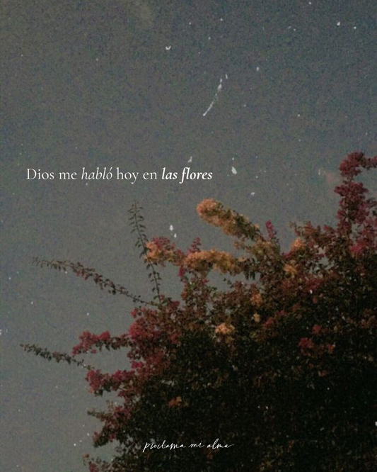 Dios también habla en las flores