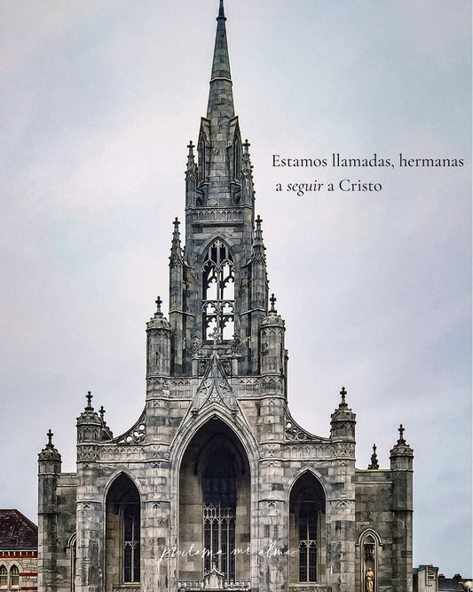 La obediencia da buenos resultados