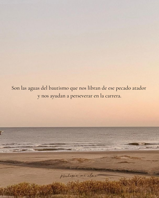 Aguas purificadoras