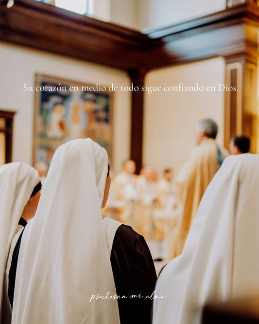 Un corazón en reposo