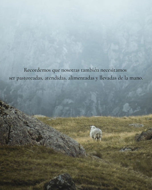 Darle de comer a sus ovejas