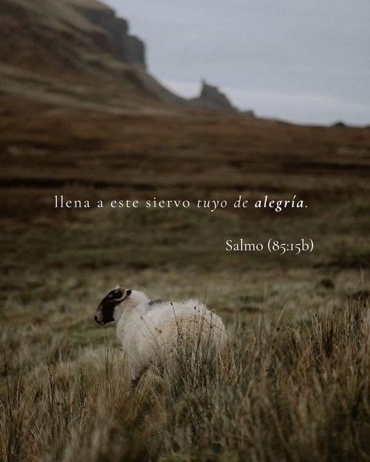 Espejos de misericordia